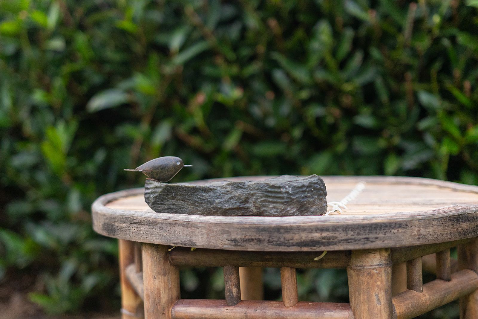 Vogelbadjes