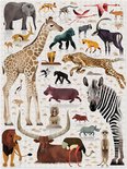 Puzzle African Animals (750 pieces) + POSTER