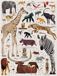 Puzzle Afrikanische Tiere (750 Teile) + POSTER