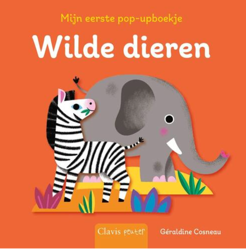 Buch „Wilde Tiere, mein erstes Pop-up-Buch“ (Géraldine Cosneau)